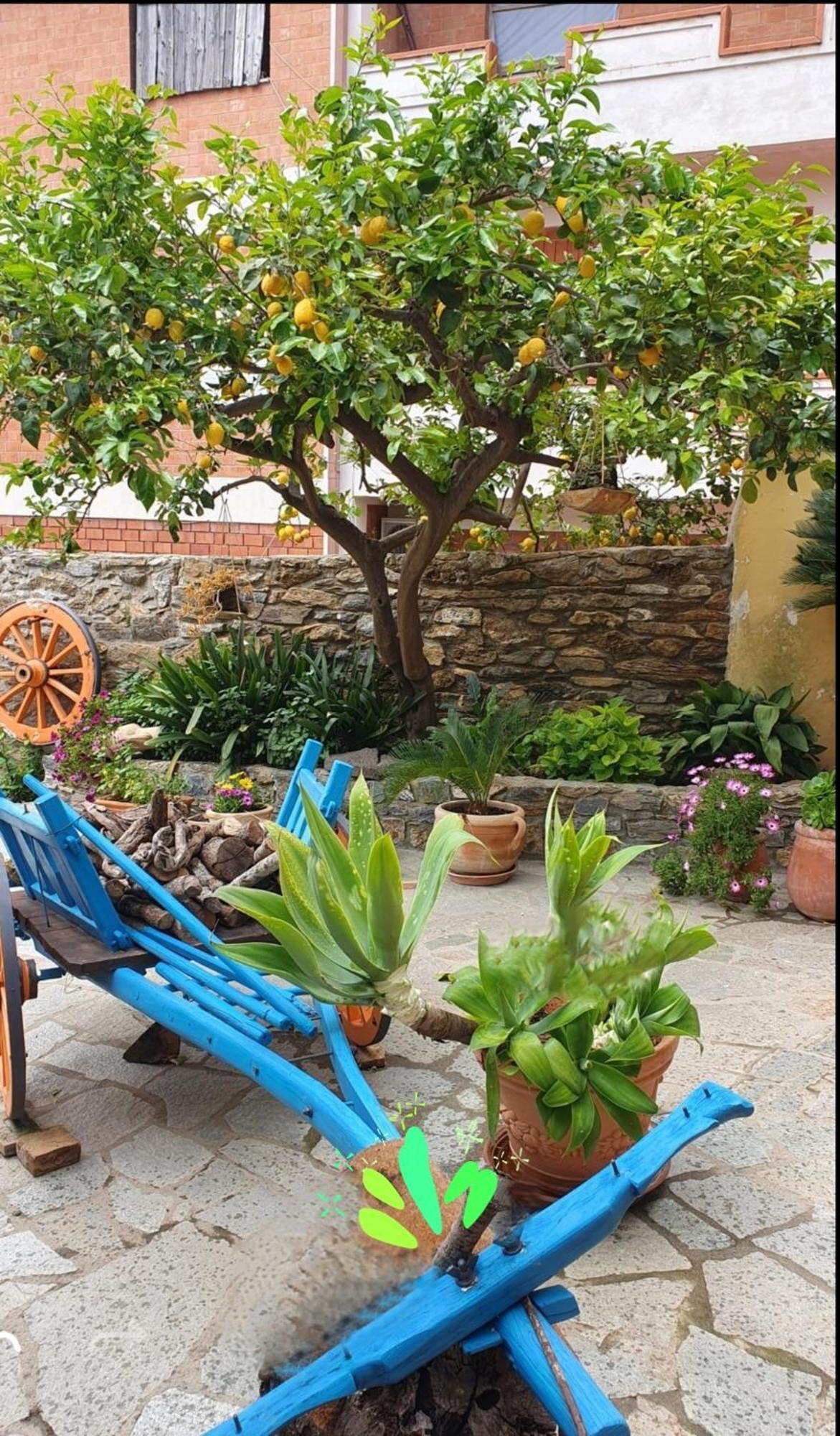 Bed and Breakfast Su Carreri Armungia Экстерьер фото